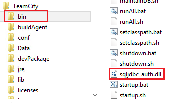 teamcity-sqlexpress-authdll