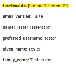 Keycloak and multi tenancy using single Realm